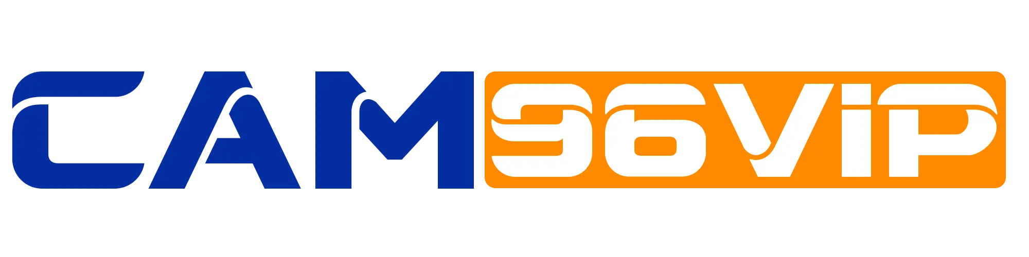 Website Logo