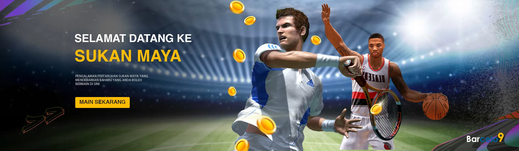 vsport banner